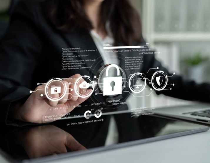 Business Security Solutions